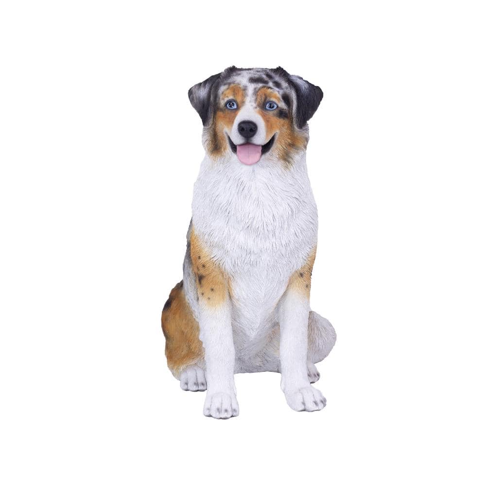 SoReal Brown Australian shepherd Decorative Puppy Figurine for Home & Garden Décor price history on PriceWatchPro