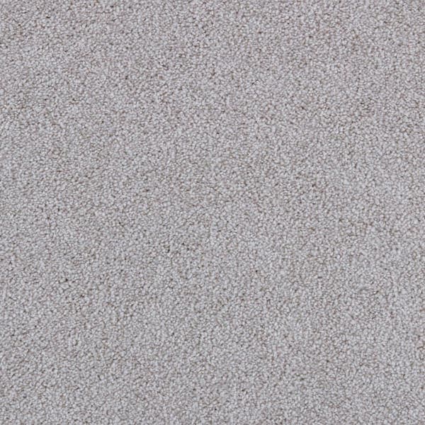 Lifeproof with Petproof Technology Playful Moments I Star Dust Gray 34 oz Triexta Texture Carpet - Installation Required