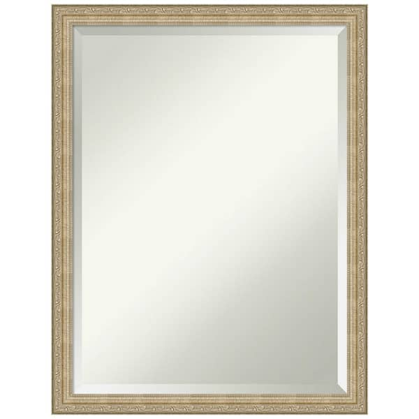 Paris 20 in. x 26 in. Modern Rectangle Framed Champagne Bathroom Vanity Mirror