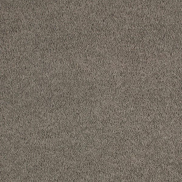 Lifeproof with Petproof Technology Cleoford Sea Stone Gray 47 oz. Triexta Texture Installed Carpet