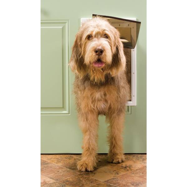 how much does a mobile otterhound groomer cost