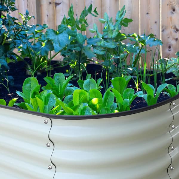 GrapeSeed　Unit18 Amazon.com: Avedis Zildjian Company L80 Low Volume Cymbal