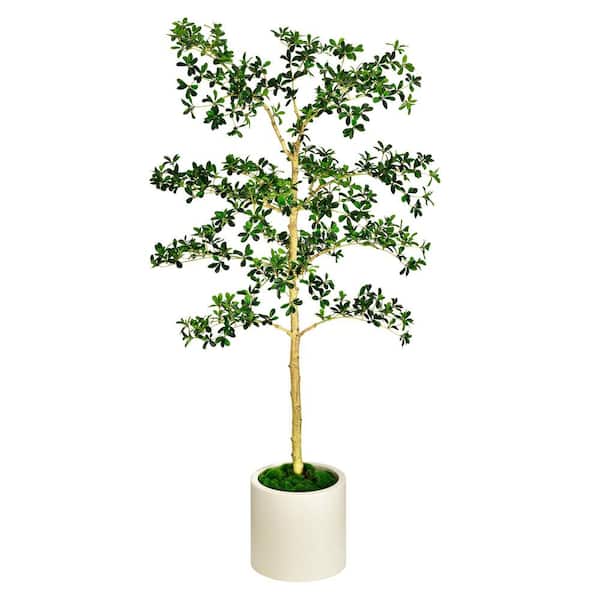 6.5 ft. Artificial Olive Shady Lady Tree in White Decor Pot, Faux Green Plant Indoor Home Decorative Planter