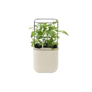 Mini Planter Box Recyclable Plastic with Trellis Self-Watering Raised Garden Bed Cream White