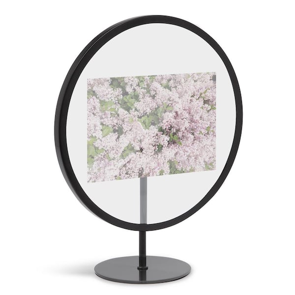 Umbra Infinity Round Picture Frame 4 in. x 6 in. , Black