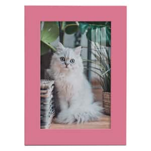 Modern 5 in. x 7 in. Hot Pink Picture Frame