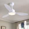 wdetr-ceiling-fans-with-lights-spm-82-03-c3.5