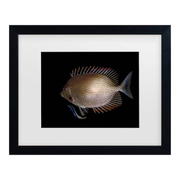 Trademark Fine Art Ilan Ben Tov Cleaning Station Matted Framed Photography Wall Art 13 in. x 16 in.