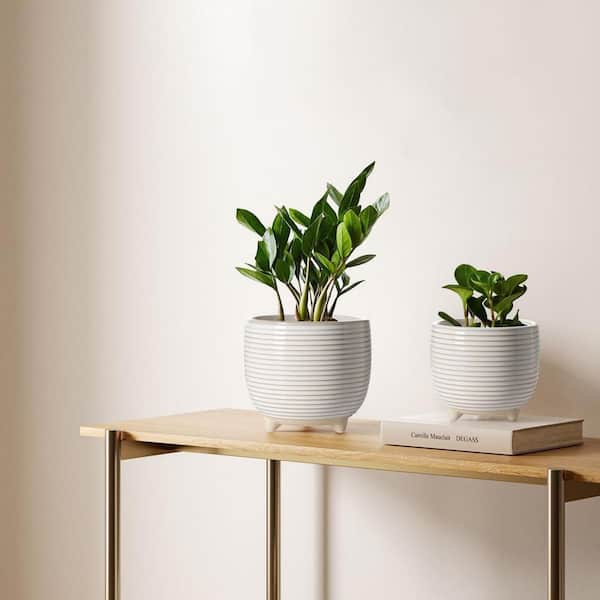 White Ceramic Round Planter Set (2-Pack) L0CGX2XNCL - The Home Depot