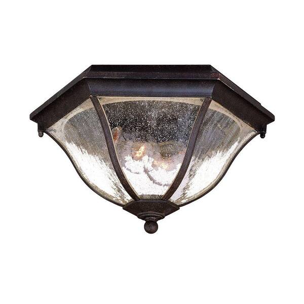 Acclaim Lighting Flushmount Collection Ceiling-Mount 2-Light Black Coral Outdoor Light Fixture