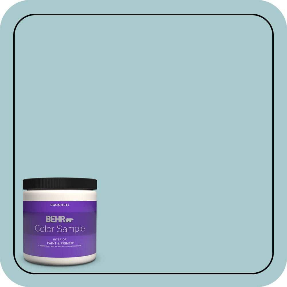 8 oz. #PMD-95 Coastal Surf Eggshell Enamel Interior Paint & Primer Color Sample price history on PriceWatchPro