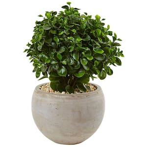 Indoor/Outdoor Artificial Eucalyptus Silk Plant in Sand Colored Bowl UV Resistant