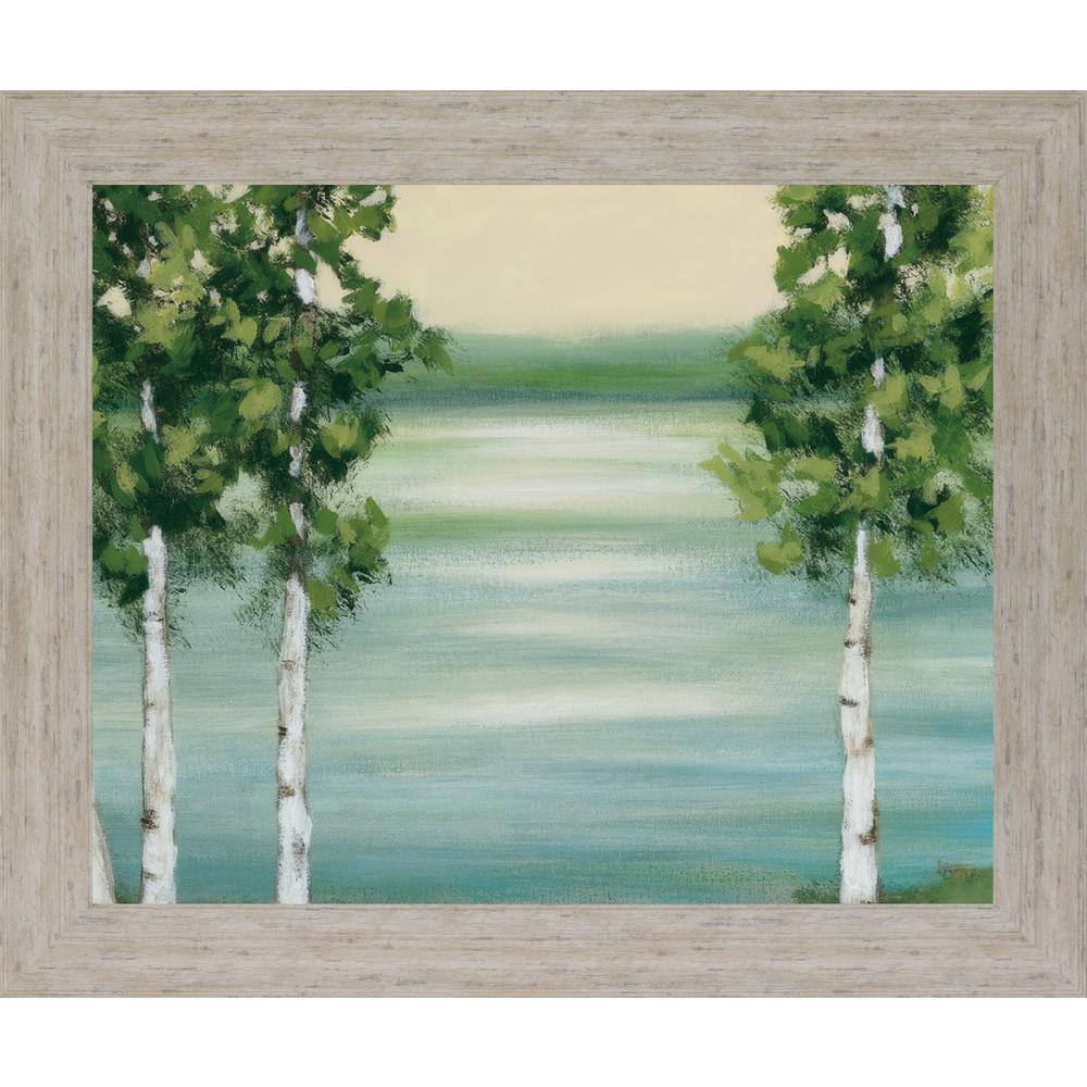 Quiet Lake By Rita Vindeszia Framed Print Nature Wall Art 28 in. x 34 in. price history on PriceWatchPro