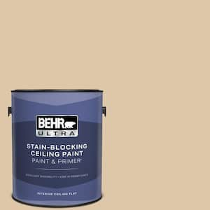 1 gal. #PPU4-13 Sand Motif Ceiling Flat Interior Paint & Primer