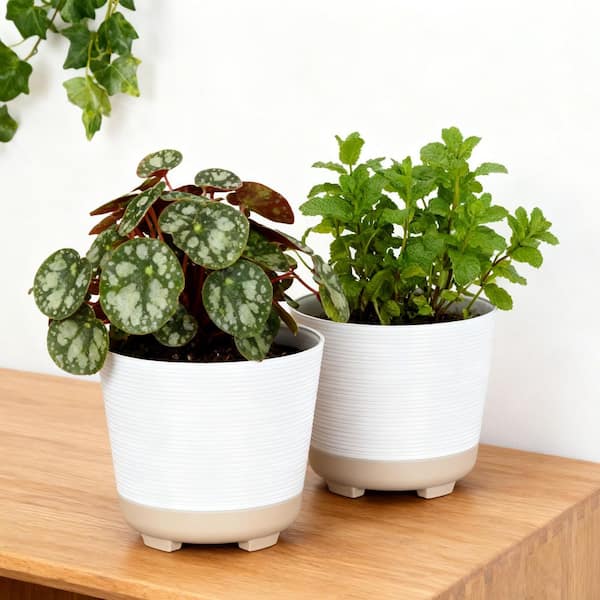 Lark & Vine Wallula White Resin Round Planter Set with Drainage