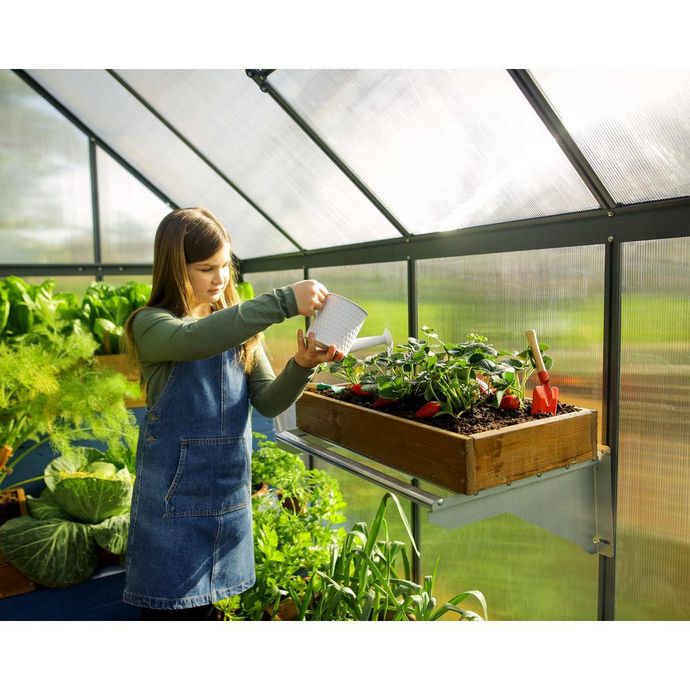 Gray Aluminum and Polycarbonate 6' x 8' Walk-In Greenhouse