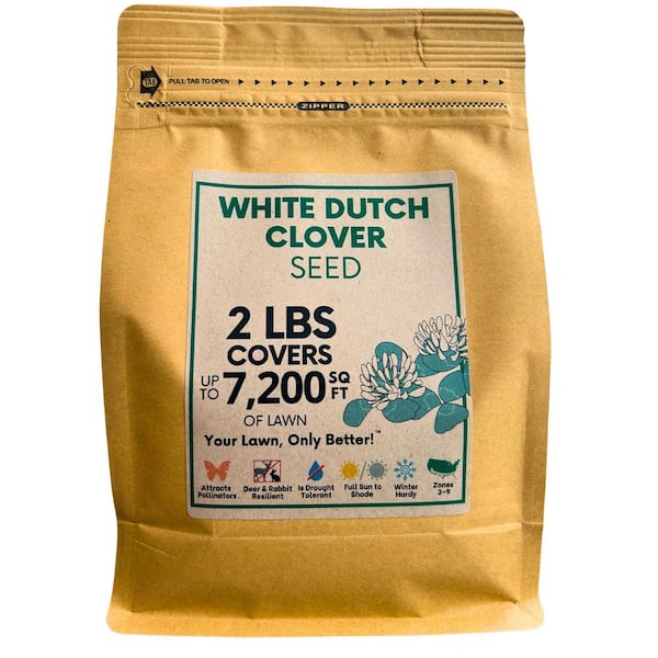 2 lb. White Dutch Clover Flower Lawn Seed, Organic Coated, Low Mnt, Pollinator Friendly, Covers Up to 7,200 Sq. ft.