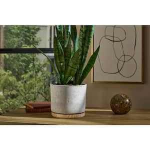 Imani 7.5 in. x 7.5 in. D x 6.7 in. H Small Gray Textured Ceramic Pot with Attached Saucer
