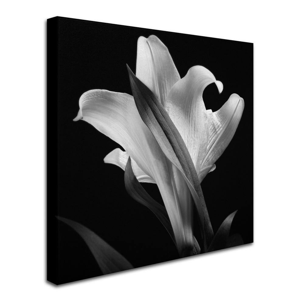 Black and White Lily Flower Canvas Wall Art