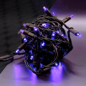 Purple 5 mm LED Mini Lights with 4 in. Spacing (Set of 50)