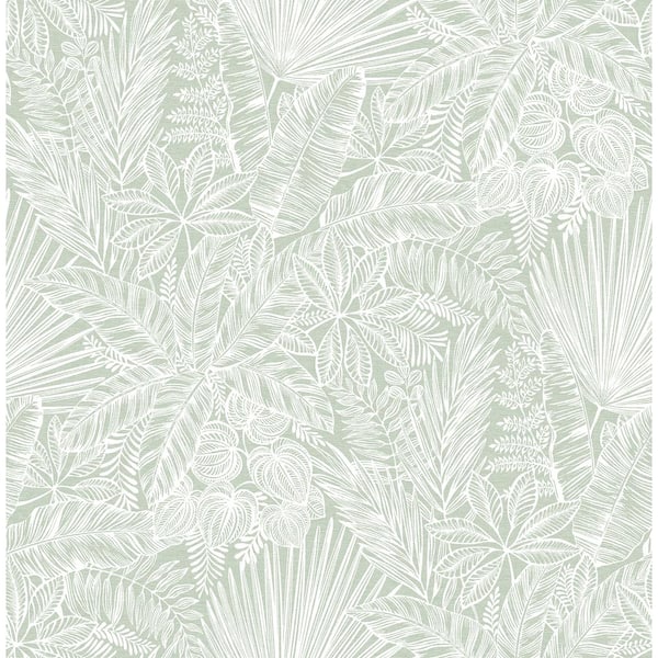 A-Street Prints Vita Green Sage Botanical Matte Non Woven Wallpaper Sample