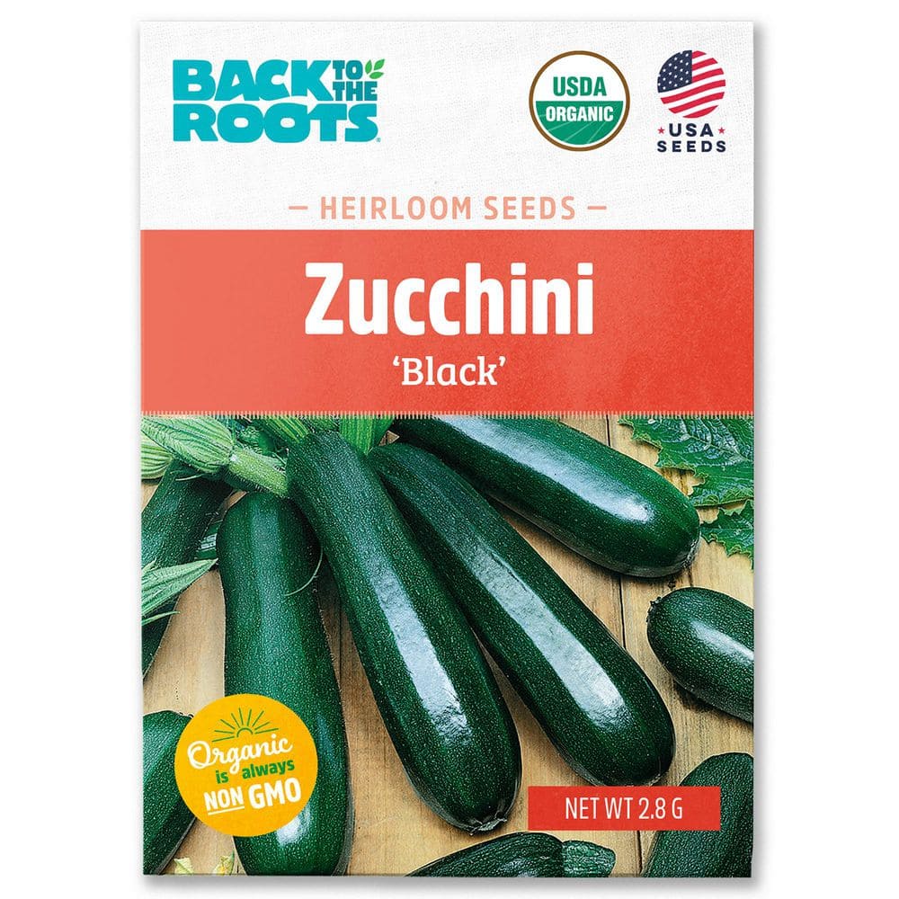 Back to the Roots Organic Summer Black Zucchini Squash Seed (1