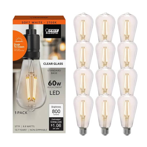 Feit Electric 60-Watt Equivalent ST19 Dimmable Cage Filament Clear
