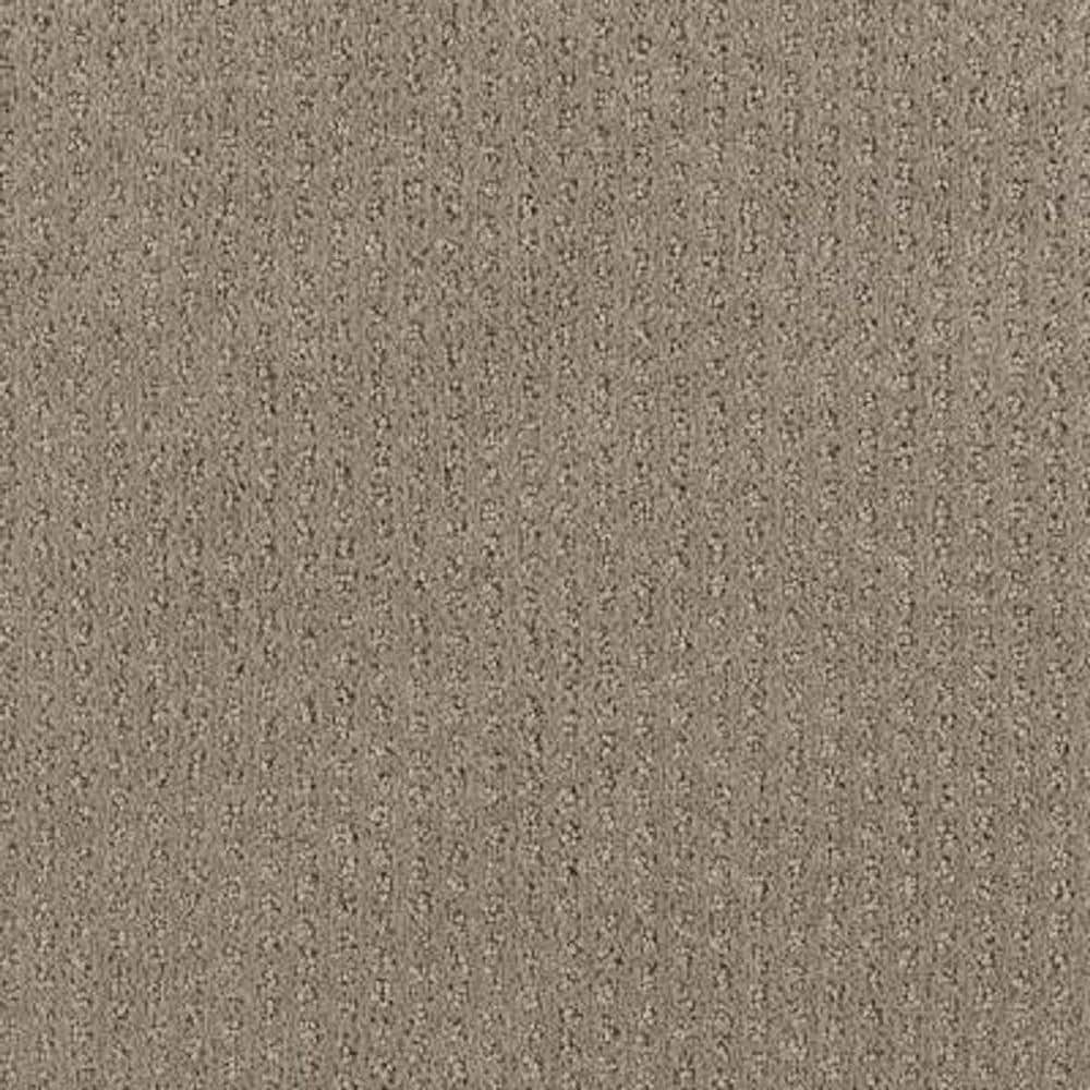 8 in. x 8 in. Pattern Carpet Sample - Sequin Sash -Color Winter Leaf price history on PriceWatchPro