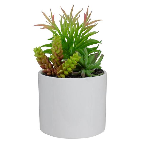 Northlight 9 in. White Artificial Succulent Arrangement in Ceramic