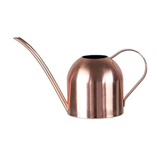 0.23 gal. Rose Gold Stainless Steel Watering Can Long Spout Indoor Plant Water Can Semi-Open Top 1 Piece
