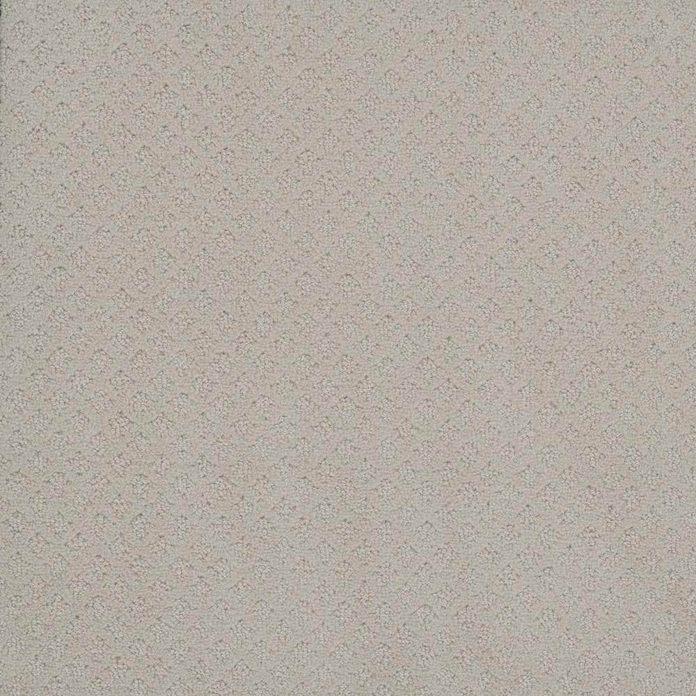 8 in. x  8 in. Loop Carpet Sample - Camelia Lane -Color Queen price history on PriceWatchPro