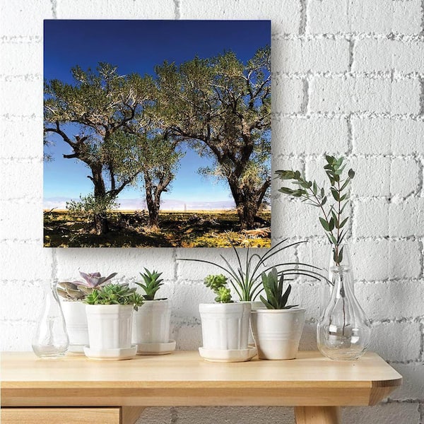 VENICE BEACH Collections Tree Line by Steven A. Heller 1-Piece Unframed Canvas Drawing Print 14 in. x 14 in.