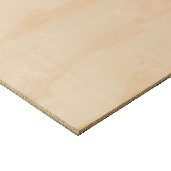 1/2 in. x 2 ft. x 4 ft. Sande Plywood Project Panel