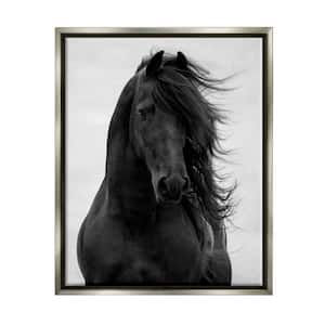 Black Stallion Horse Portrait Soft Sky Photography by Carol Walker Floater Frame Animal Wall Art Print 17 in. x 21 in.