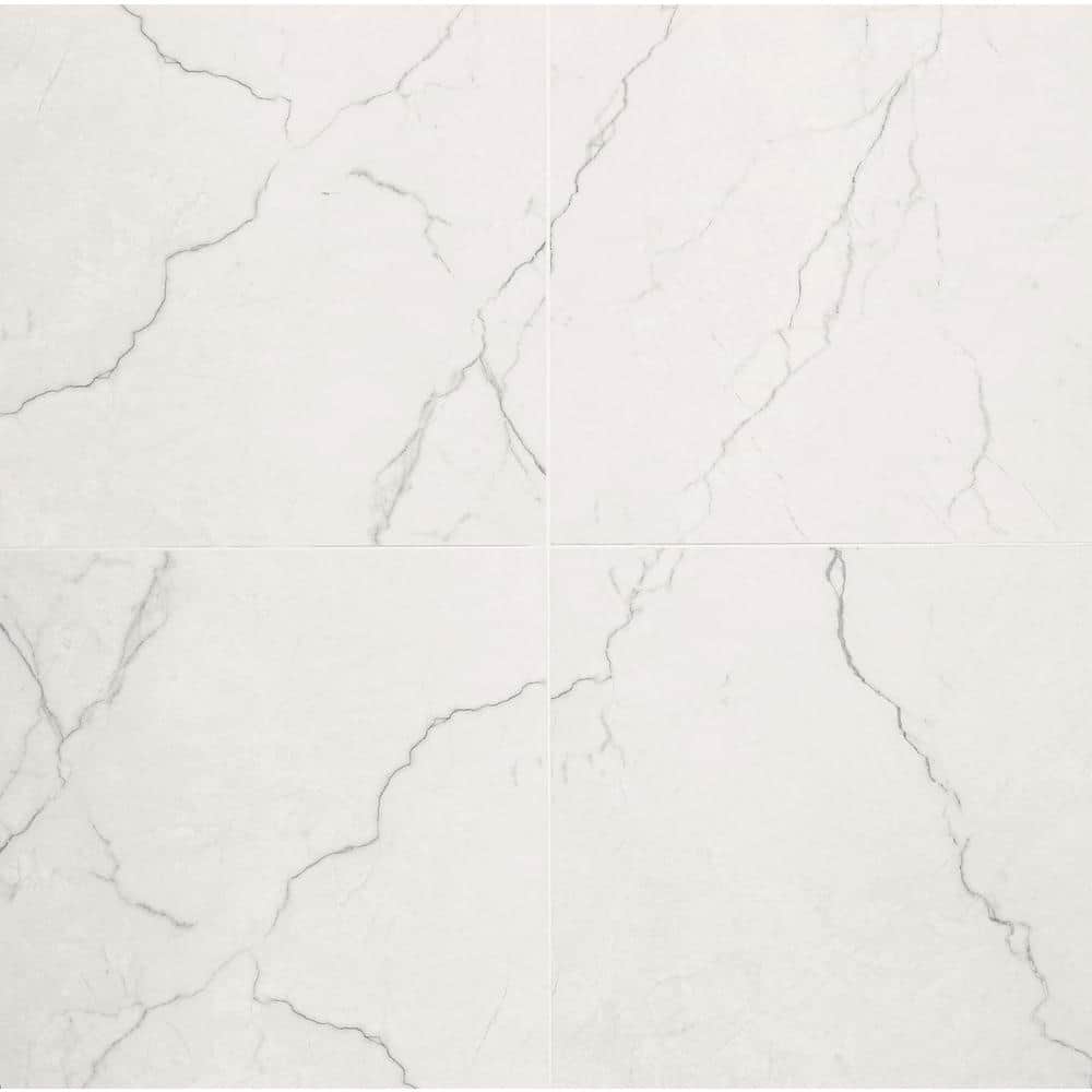 Briella Grey 24 in. x 24 in. Matte Porcelain Marble Look Floor and Wall Tile (16 sq. ft./ Case) price history on PriceWatchPro