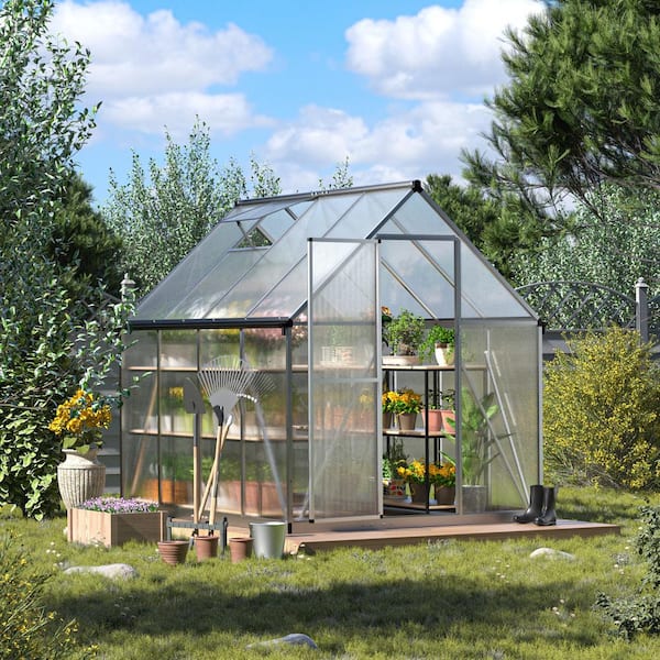 JAXPETY 6 ft. W x 8 ft. D Polycarbonate Greenhouse For Outdoors