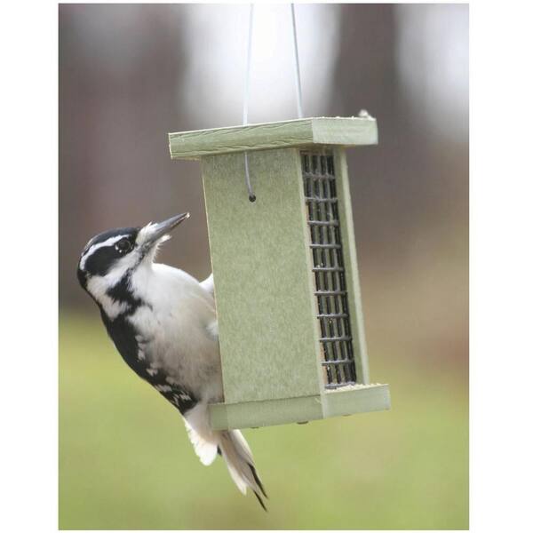 suet bird feeder home depot