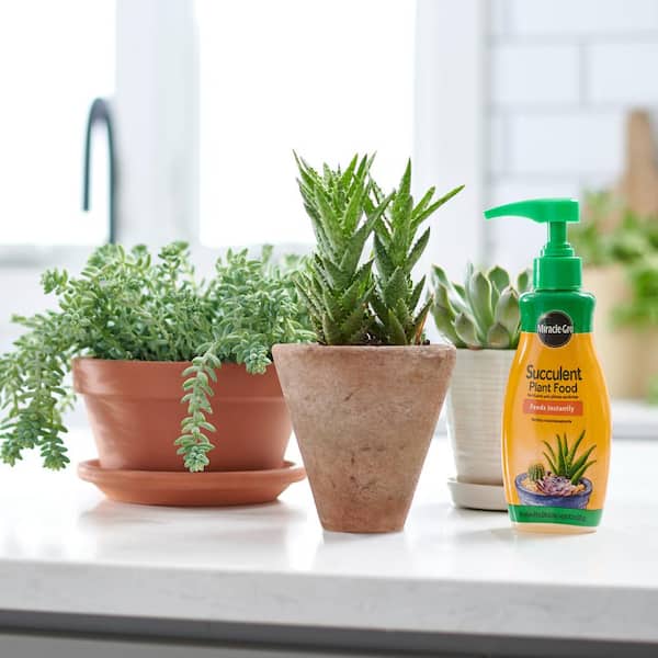 Miracle-Gro - Succulent Plant Food 8 oz. Liquid Plant Food for Indoor Succulents, Cacti, Aloe Vera and More, Liquid Fertilizer