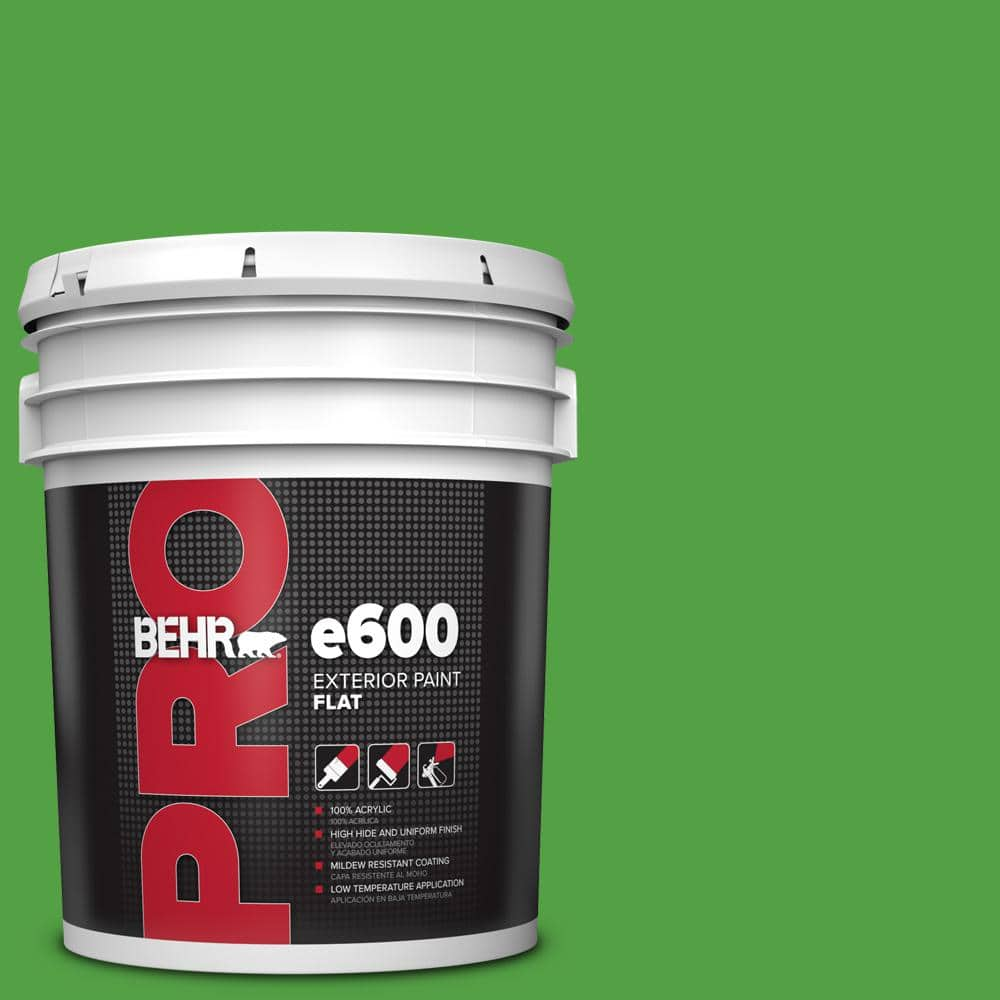 BEHR PRO ZZ161813