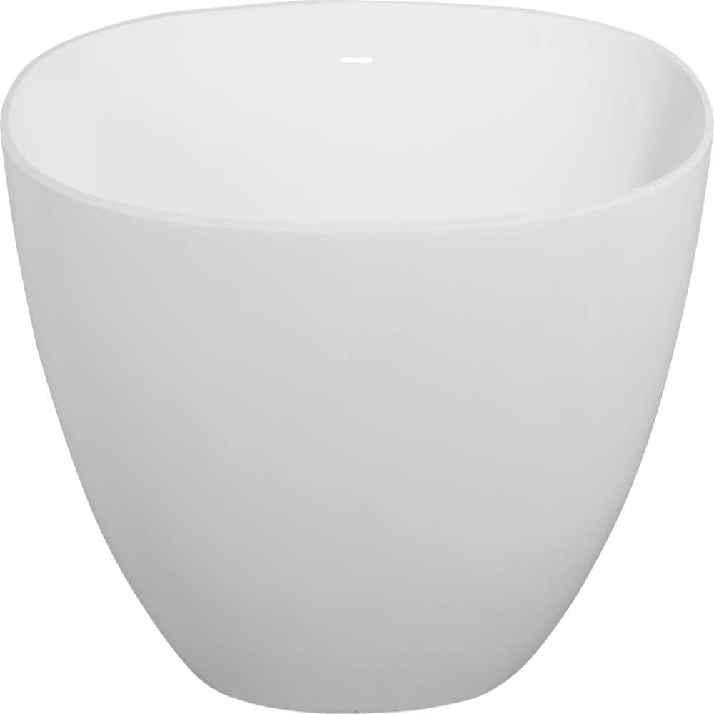 65 in. x 29.5 in. Stone Resin Flatbottom Solid Surface Freestanding Double Slipper Soaking Bathtub in Matte White price history on PriceWatchPro