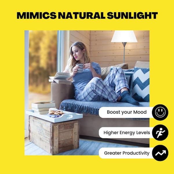 NorbEVERYDAY 9W Equivalent Everyday-Sun A19 5000K Wellness LED Light Bulb (2-Pack)