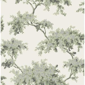 Ashdown Sage Tree Non Woven Wallpaper