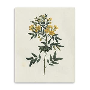 Victoria Yellow Blossom Branch by Wild Apple Portfolio 1-Piece Giclee Unframed Nature Art Print 30 in. x 24 in.
