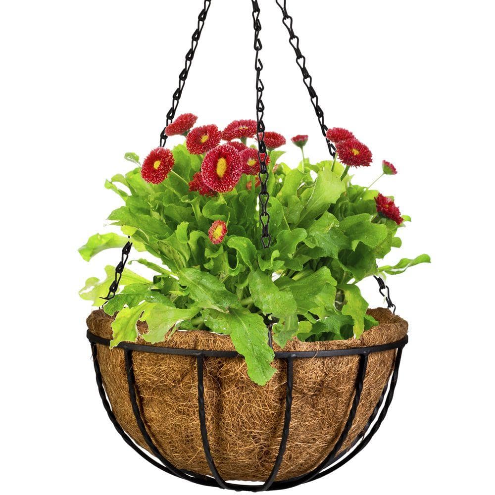 Canterbury 12-Inch Black Metal Hanging Basket with Coco Liner