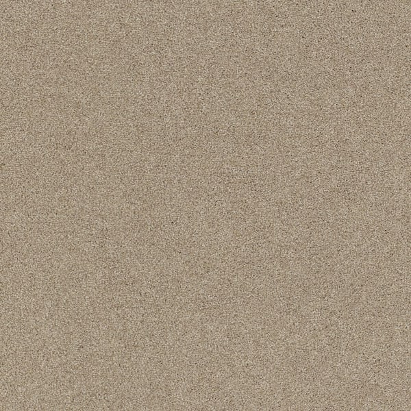Home Decorators Collection Vacation Chantilly Lace Beige 42 oz. SD High Performance Polyester Texture Installed Carpet
