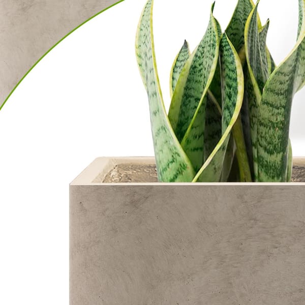 https://images.thdstatic.com/productImages/45cff357-5439-46d5-9572-50a8e8b4abc5/svn/weathered-concrete-sapcrete-plant-pots-sa0002a-p8021-2-fa_600.jpg