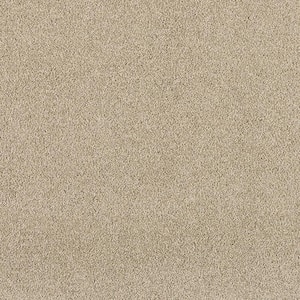 Tailored Trends III Stylish Gray 58 oz. Polyester Textured Installed Carpet
