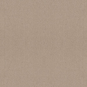 Tower Road - Cocoon - Beige 32.7 oz. SD Polyester Loop Installed Carpet