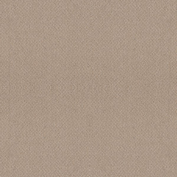 Home Decorators Collection Tower Road - Cocoon - Beige 32.7 oz. SD Polyester Loop Installed Carpet