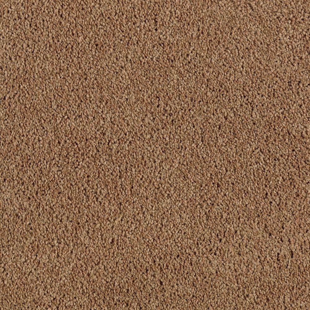 Ambrosina II - Winter Leaf - Brown 38 oz. Triexta Texture Carpet - Installation Required price history on PriceWatchPro